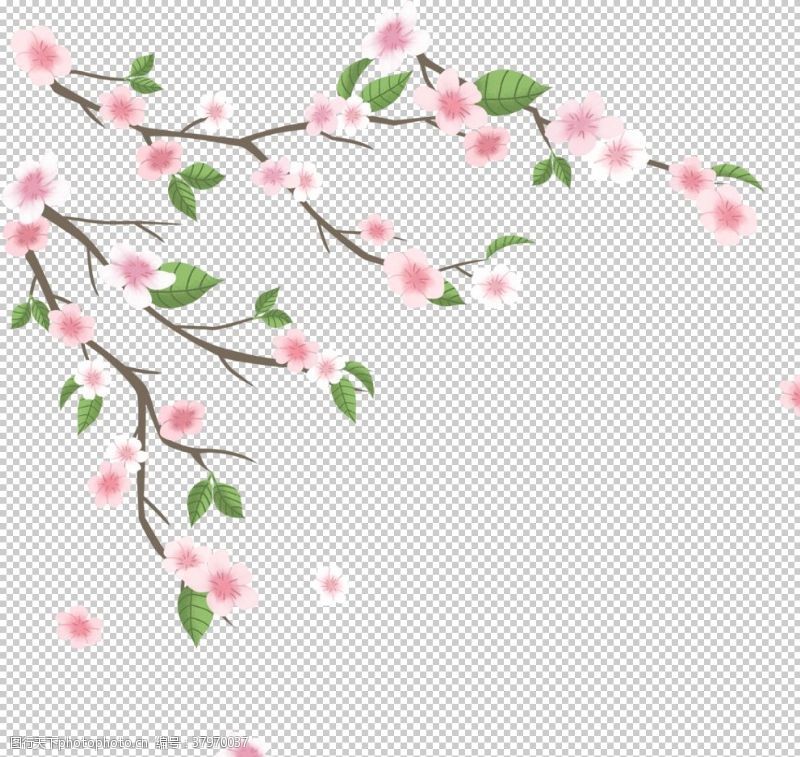 手绘樱花樱树免抠元素