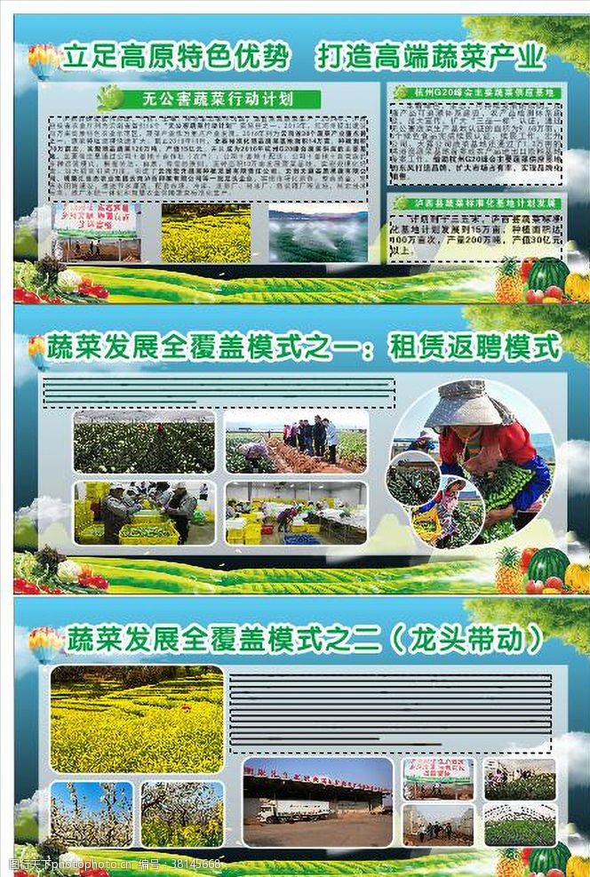 发展绿色产业农业蔬菜园展板