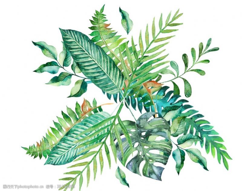 卡通盆景手绘热带树叶