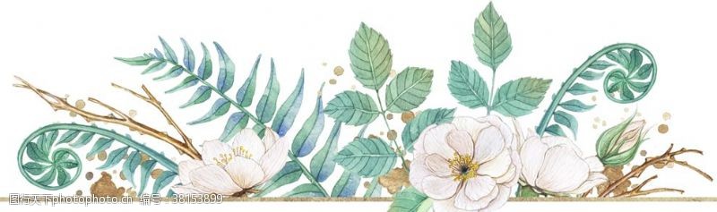 分类手绘植物花卉