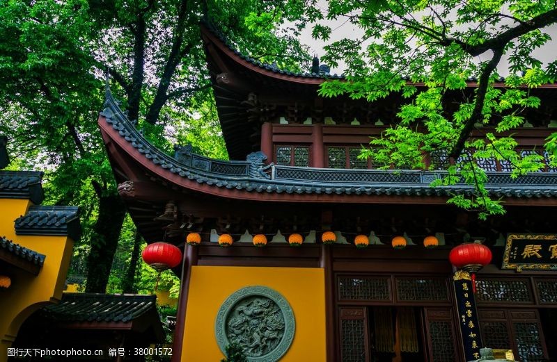 绿的参天大树下的杭州灵隐寺