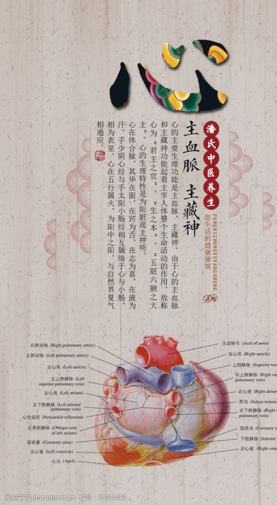 茶文化画册养生健康海报