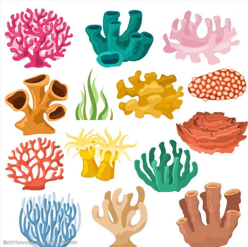 动漫壁纸珊瑚