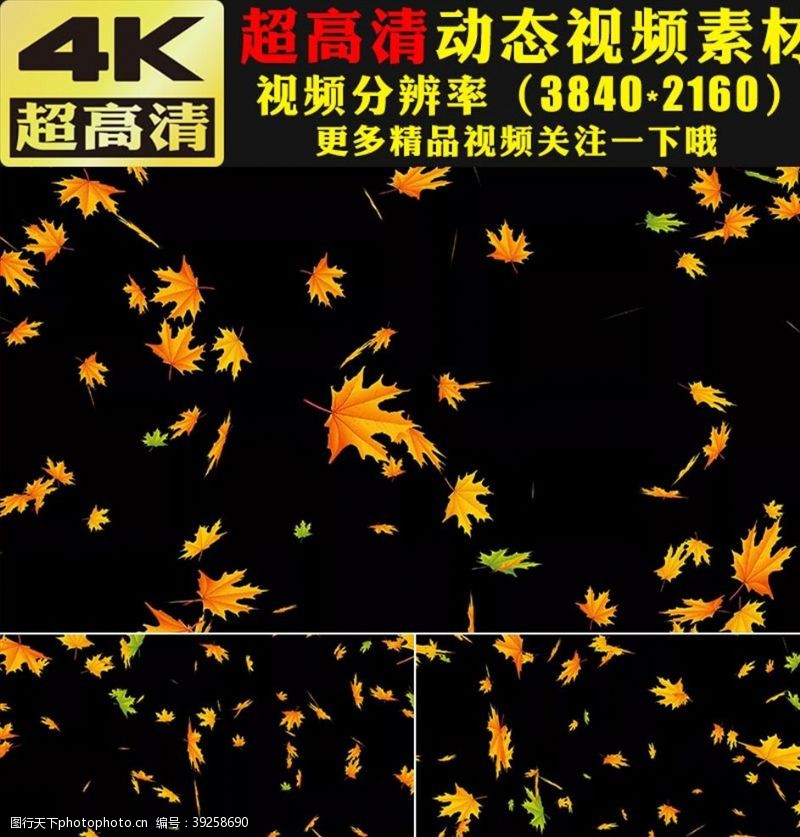 动态视频素材金黄色枫叶下落动画视频素材