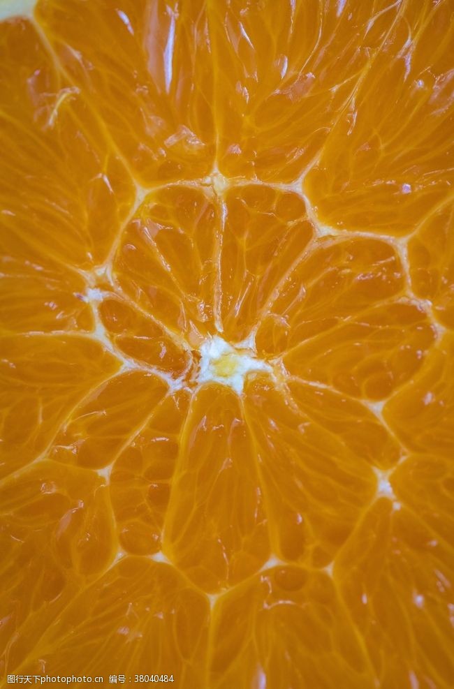 详细的橘子纤维