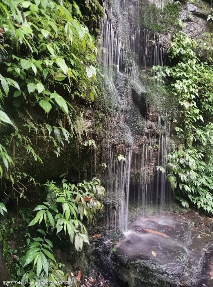 青葱大树碧峰峡瀑布