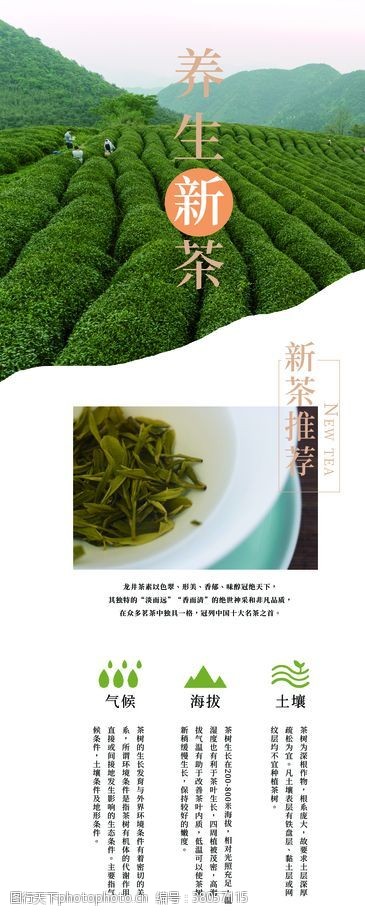 中华茶文化茶展架