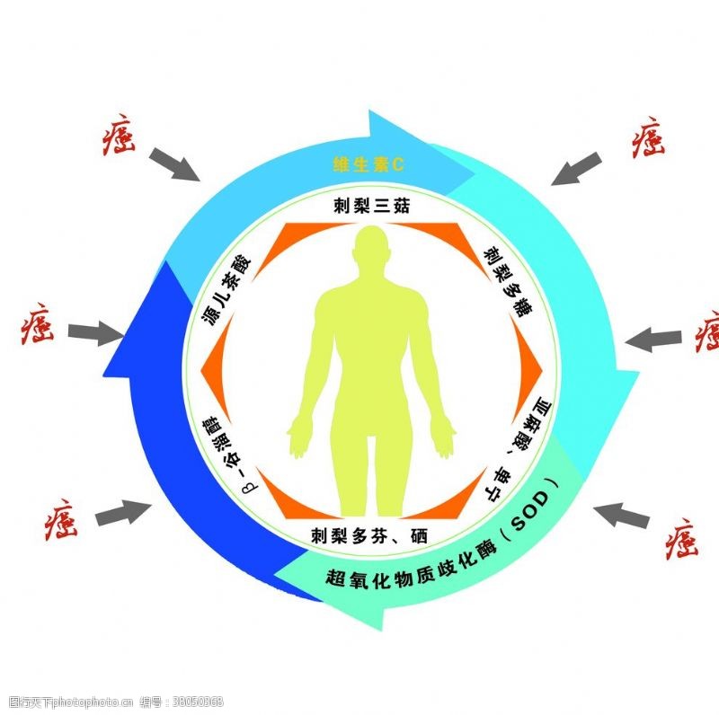 癌变防癌示意图