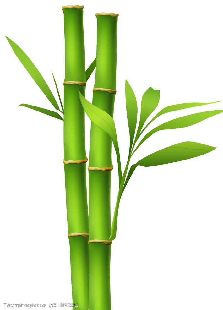 青翠绿叶素材卡通竹子