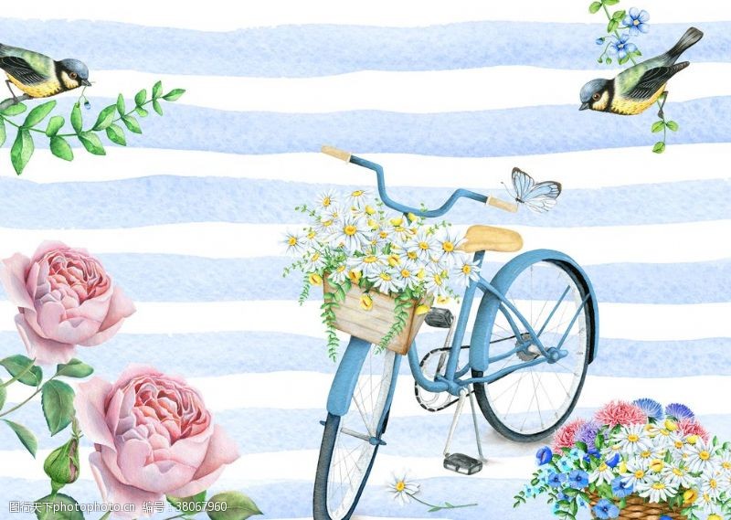 春天小鸟水彩自行车画