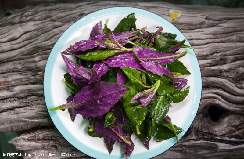 紫苏小野菜