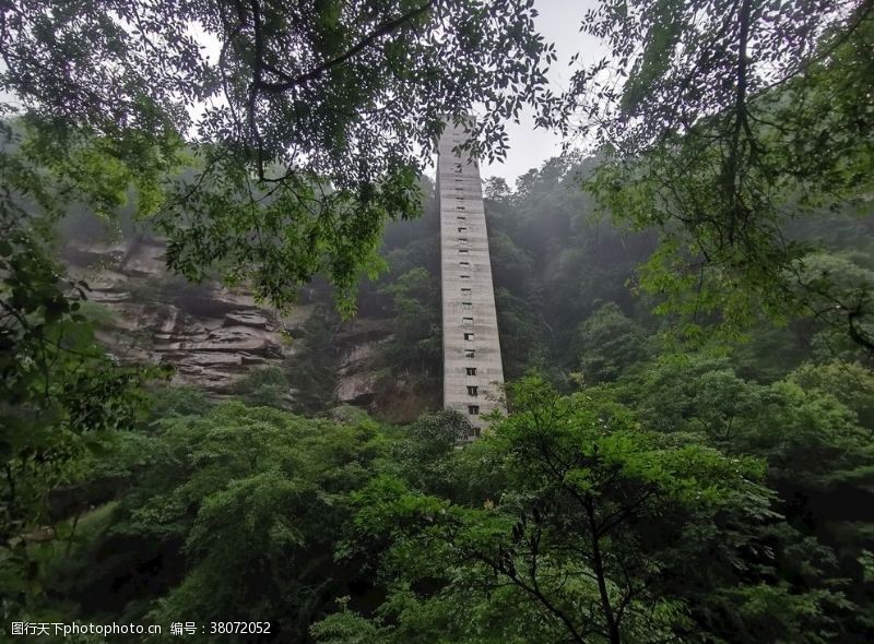 青葱大树碧峰峡观光电梯