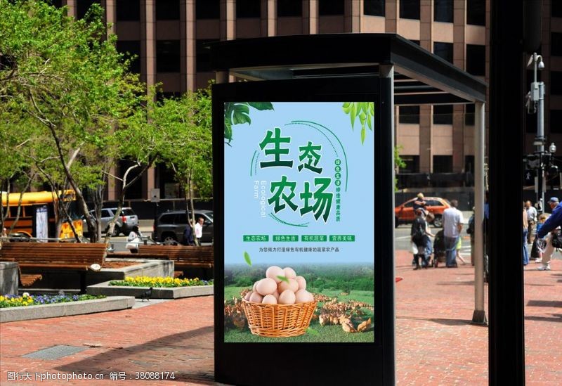 绿色鸡蛋广告生态农场鸡蛋海报