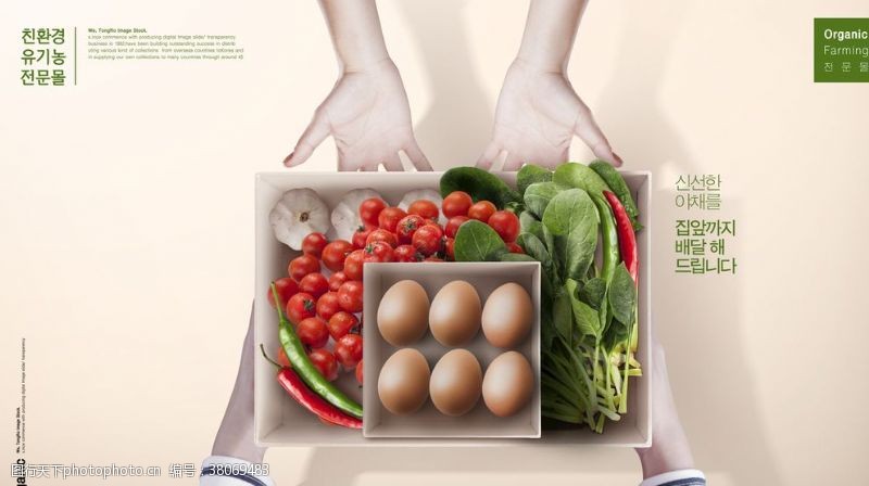 绿色鸡蛋广告蔬菜水果素材
