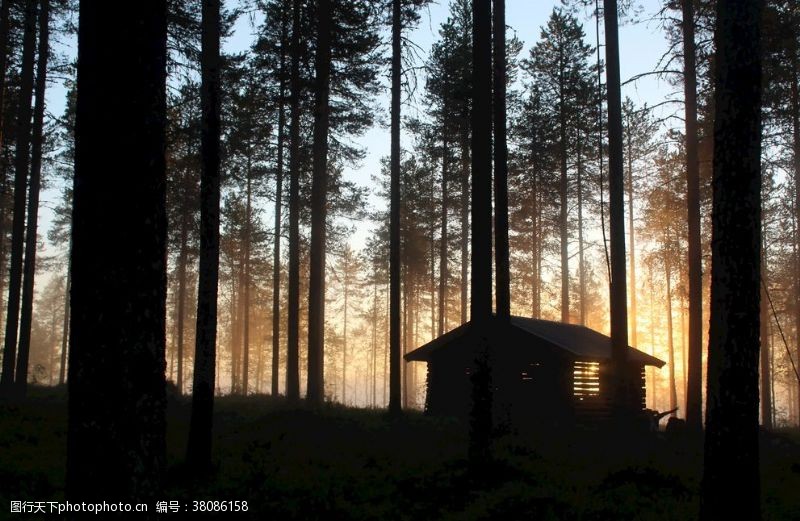 林中小屋幽暗森林里的小木屋