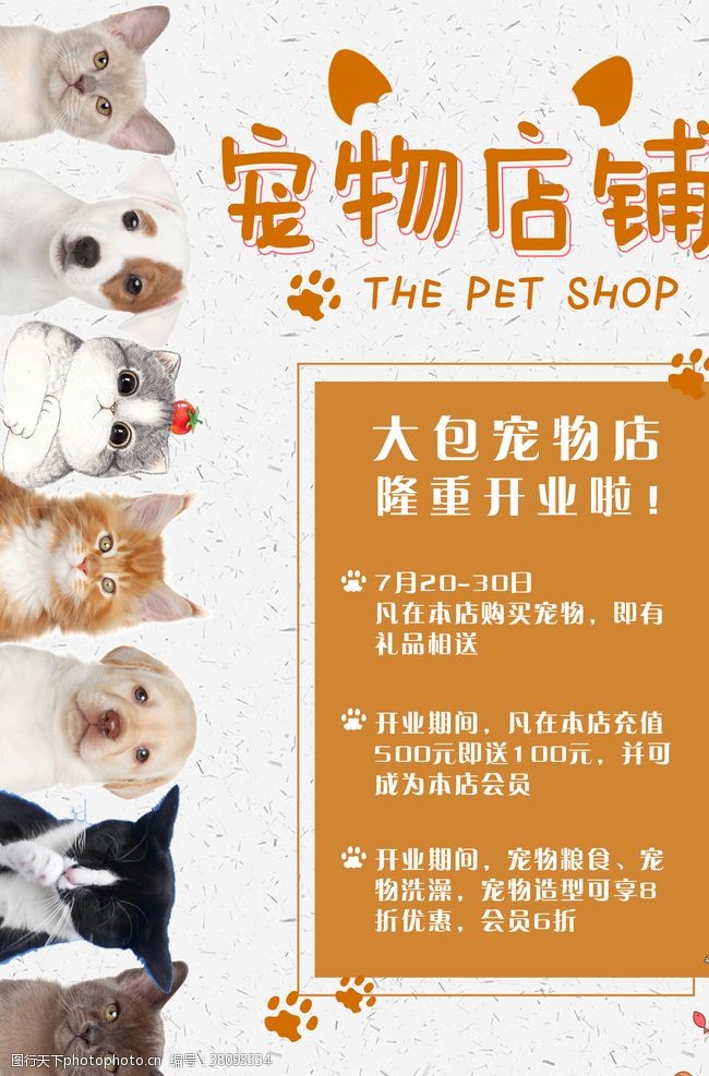 宠物宣传单宠物店海报