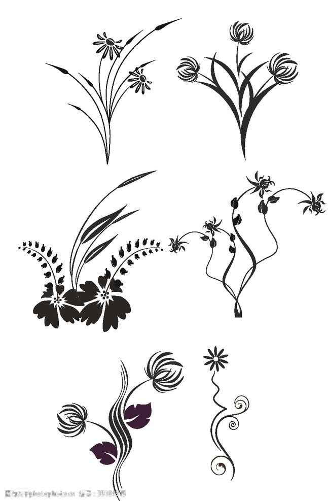 精美植物花纹欧式植物花纹图案
