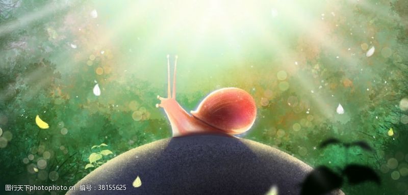 分类蜗牛森林清新插画卡通素材