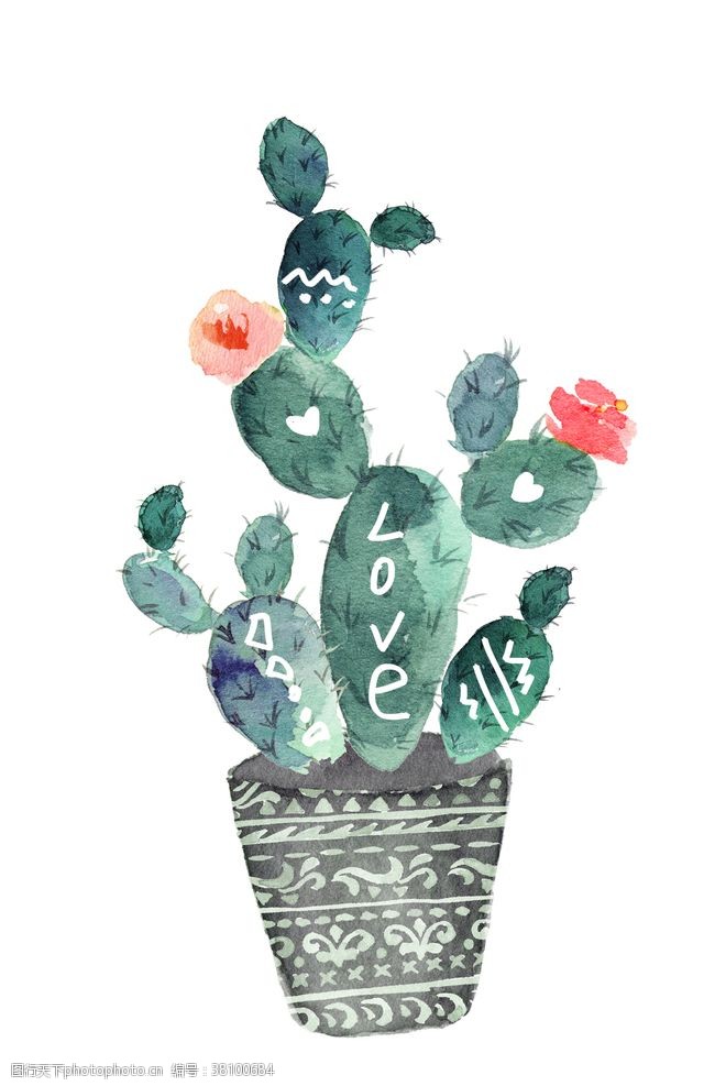 手绘植物植物装饰画