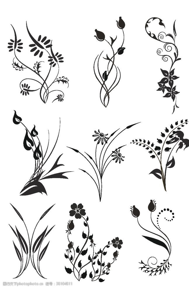 精美植物花纹植物装饰花纹