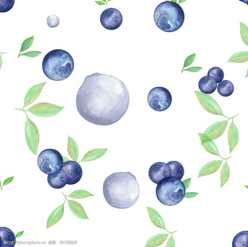 精美植物花纹蓝莓花纹