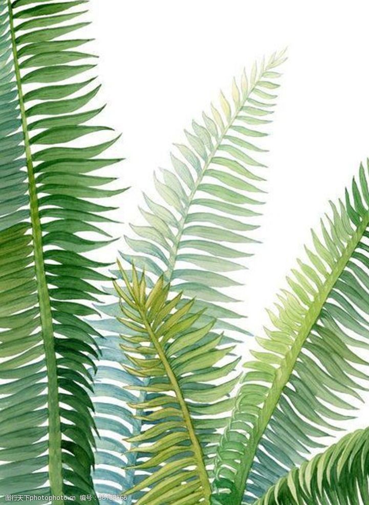 嫩绿背景手绘植物元素背景