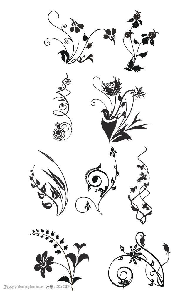 精美植物花纹植物花纹图案