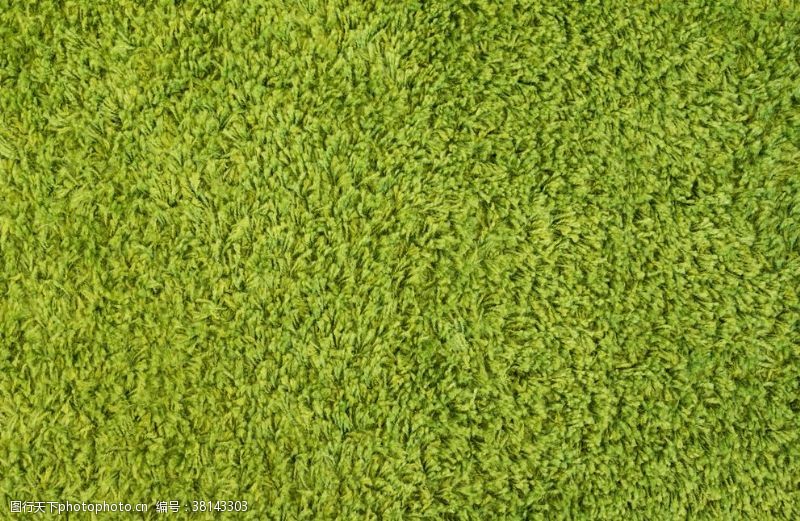青翠绿叶素材草