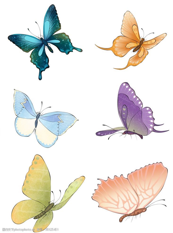 飞舞的五彩蝴蝶套图