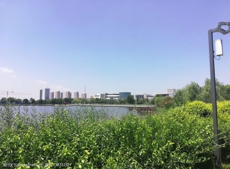 城市风景照片公园的绿色植物