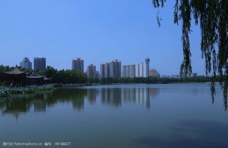 莲湖水风景