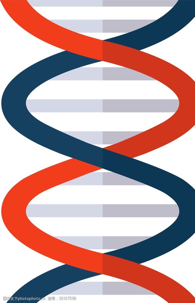 投标书基因链