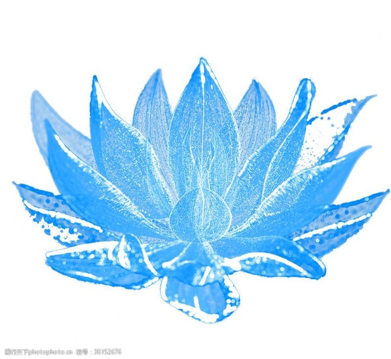 蓝色半透明水莲花朵效果元素