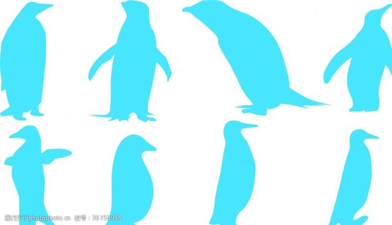 海洋生物企鹅素材