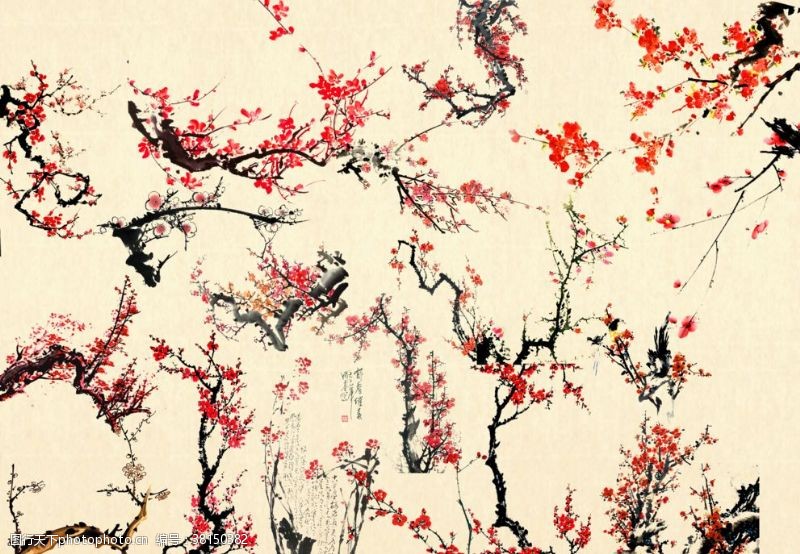中国风梅花系列素材梅花树