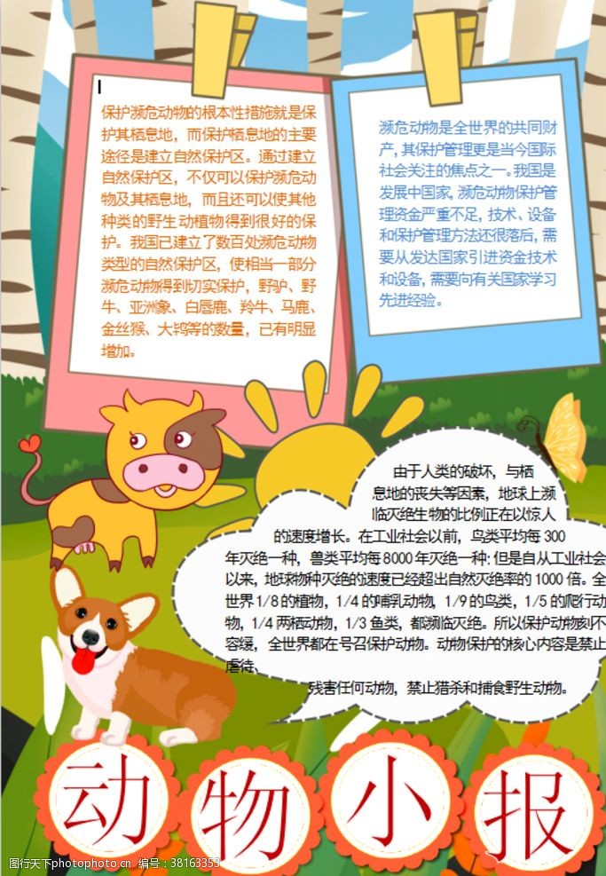 儿童读物动物小报