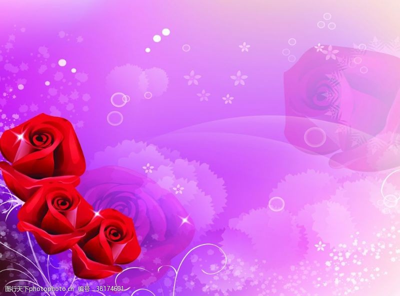 紫色花纹红色玫瑰