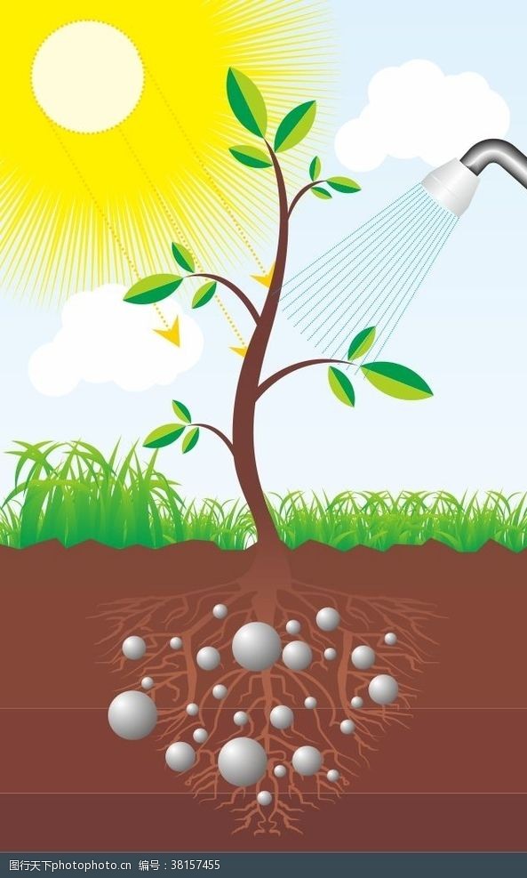 土壤阳光植物插画矢量
