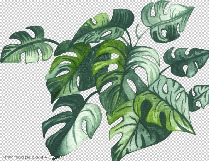 彩绘物件绿植水彩插画
