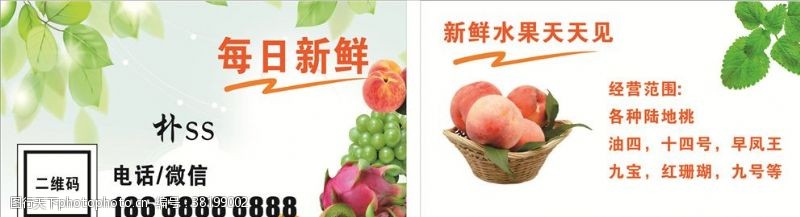 蔬菜名片制作水果名片桃子名片