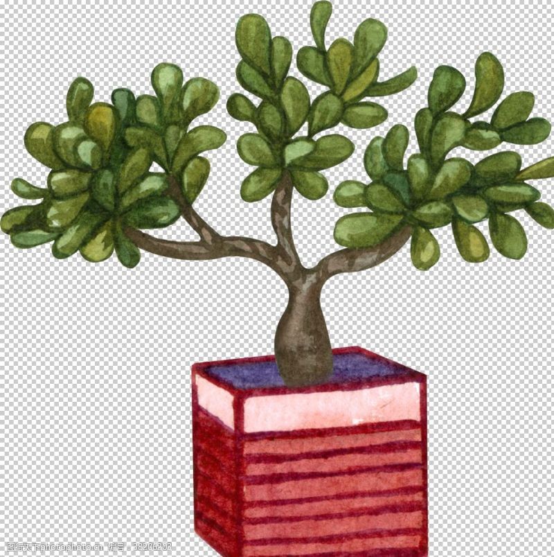 彩绘物件松树水彩插画