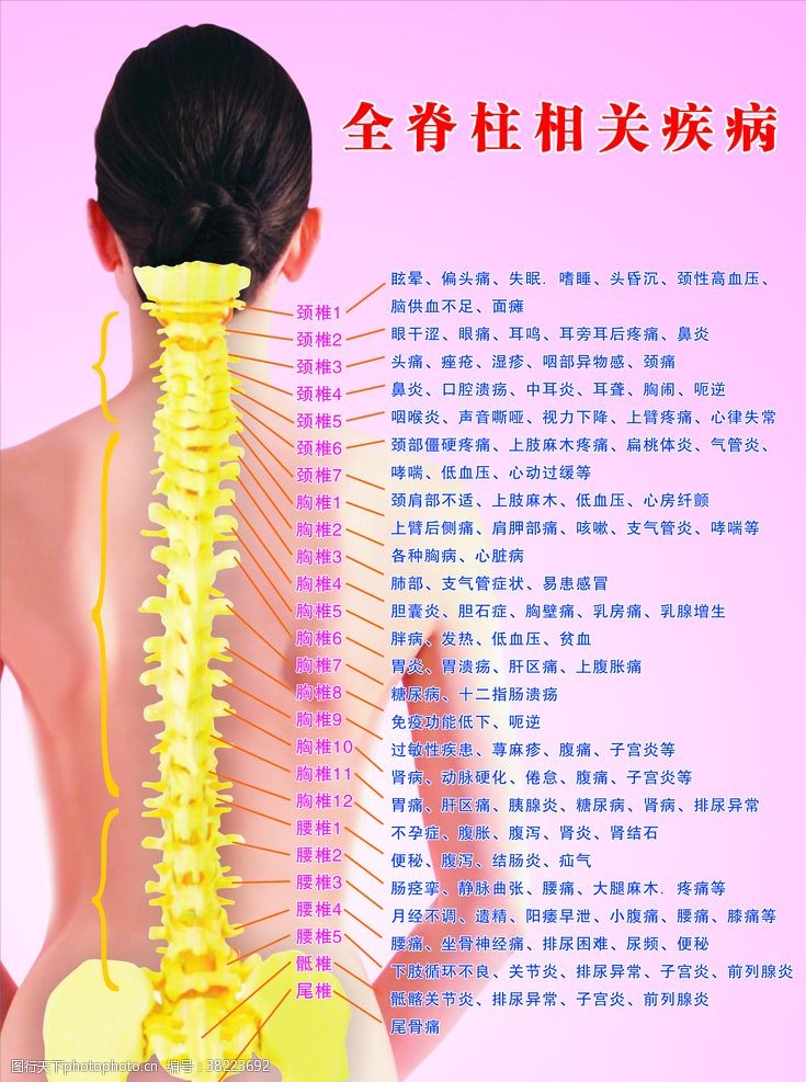 脊柱柱疾病图