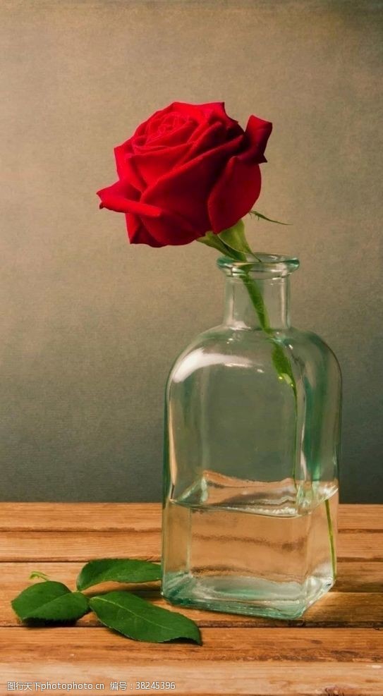 美丽迷人美丽的红玫瑰插花