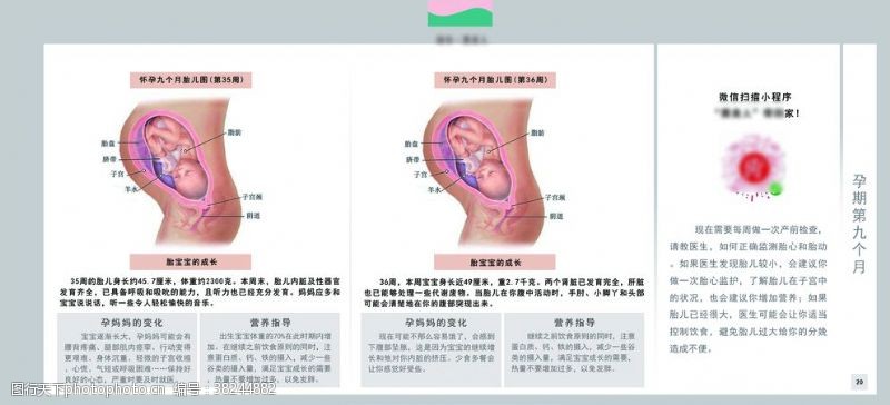 孕妈妈及胎宝宝变化第九个月