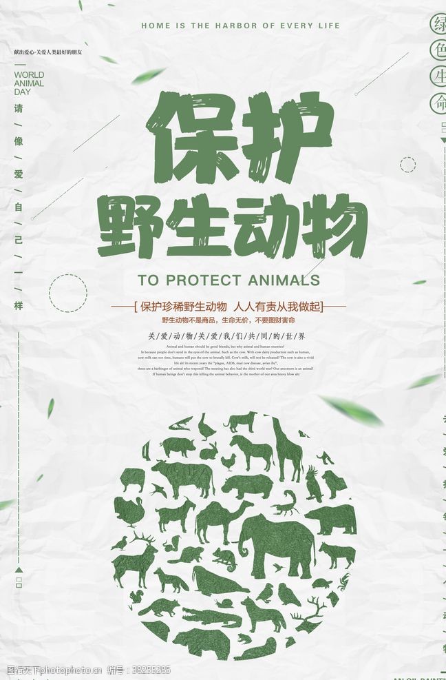 爱护生命健康保护野生动物
