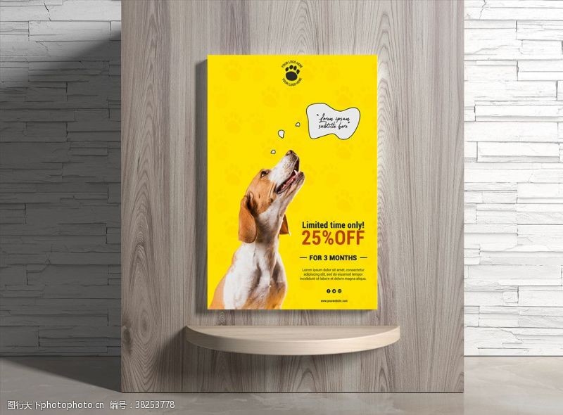 宠物洗澡宠物海报