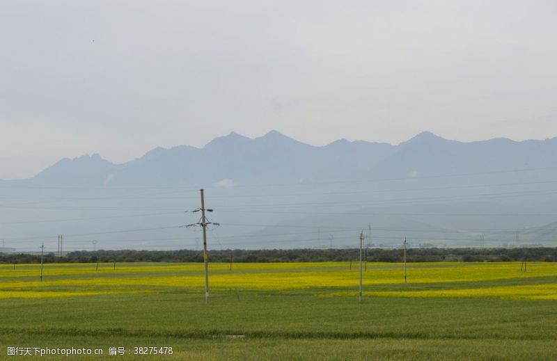 祁连山草原青海风光