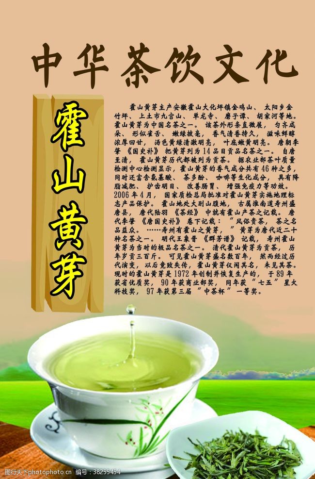 中华茶文化中华茶饮文化之霍山黄芽