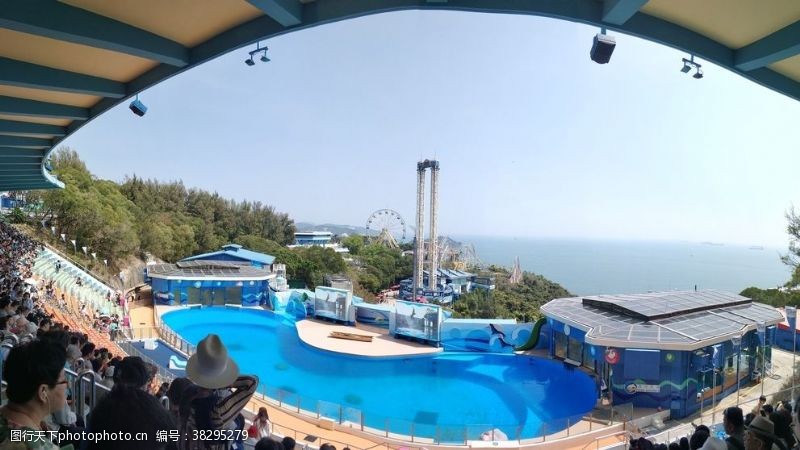 迪士尼素材香港迪士尼海洋公园海豚