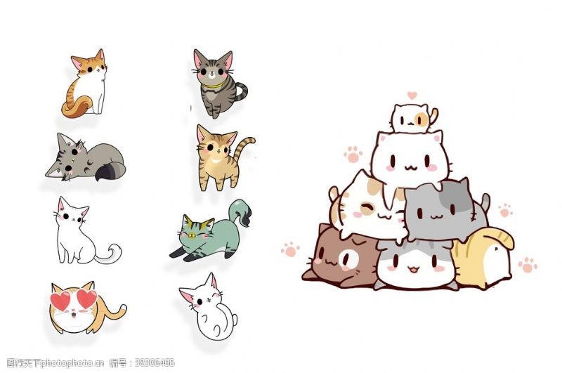 宠物诊所卡通猫